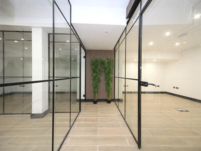 Picture 11